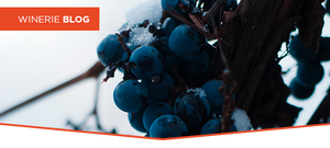 Congele seu vinho depois de aberto!