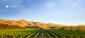 Nova Zelândia e Suas Regiões Vitivinícolas