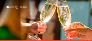 Quem não tem cão, caça com gato...