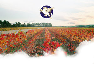 Pegasus Bay: a elegância da família Donaldson em Waipara, Norte de Canterbury