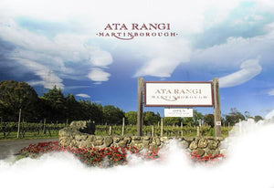 Ata Rangi: a vinícola que elevou o Pinot Noir neozelandês