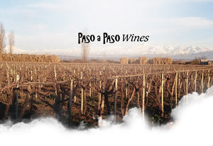 Paso a Paso Wines: História e Vinhos Los Abandonados, Bonarda, Cabernet Franc e Malbec