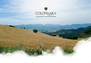 Colonnara, a jóia de Marche