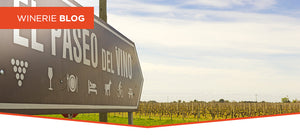 Tannat, o Rubi das Terras Charruas