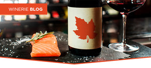 Vinho Tinto combina com Peixes ou Frutos do Mar?