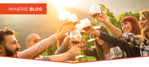 Vinhos do Novo Mundo