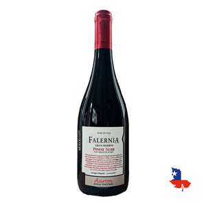 Falernia Aaron Single Vineyard Gran Reserva Pinot Noir 2019 750ml