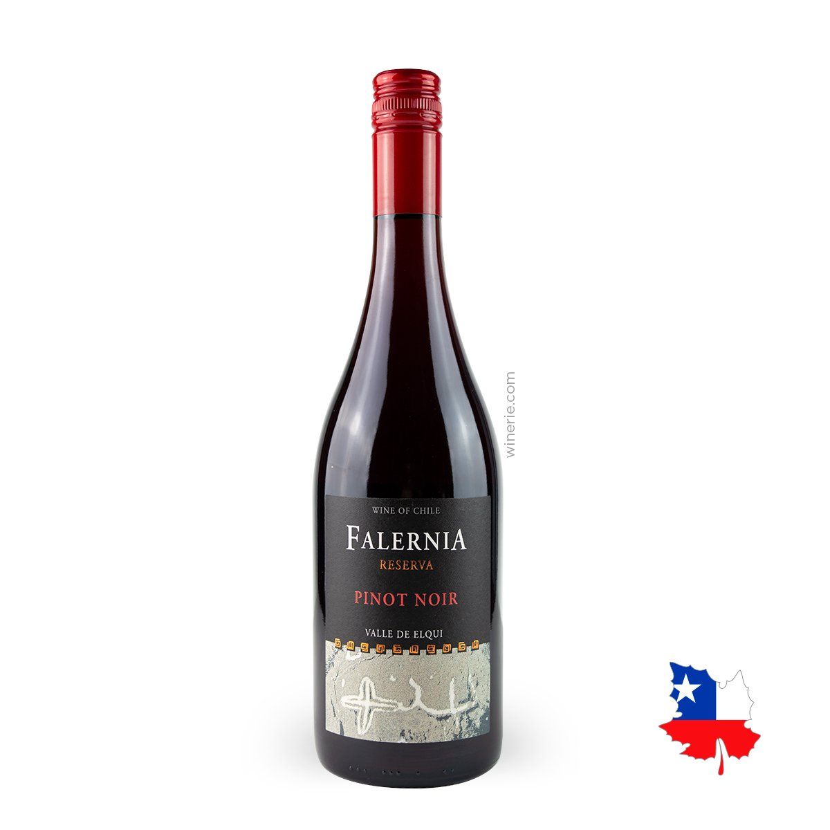 Falernia Pinot Noir Reserva - Vinho Chileno – Winerie